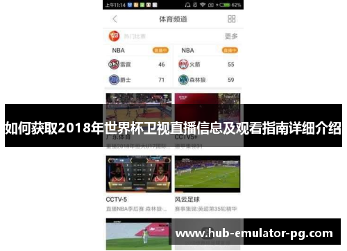 如何获取2018年世界杯卫视直播信息及观看指南详细介绍