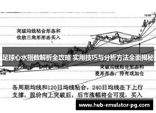 足球心水指数解析全攻略 实用技巧与分析方法全面揭秘