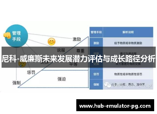 尼科-威廉斯未来发展潜力评估与成长路径分析