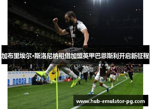 加布里埃尔·斯洛尼纳租借加盟英甲巴恩斯利开启新征程 加布里埃尔·斯洛尼纳租借加盟英甲巴恩斯利开启新征程